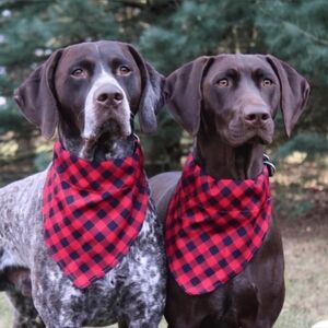 Red and Black Tall Tails Hunter Plaid Bandana Size M/L